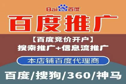 某电商平台的SEM推广策略及效果分析